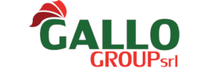 Logo-GALLO GROUP